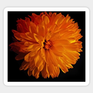 Yellow Flower Sticker